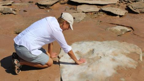 WA Museum curator Jessica Brainard with her palm on the footprint of a therapod